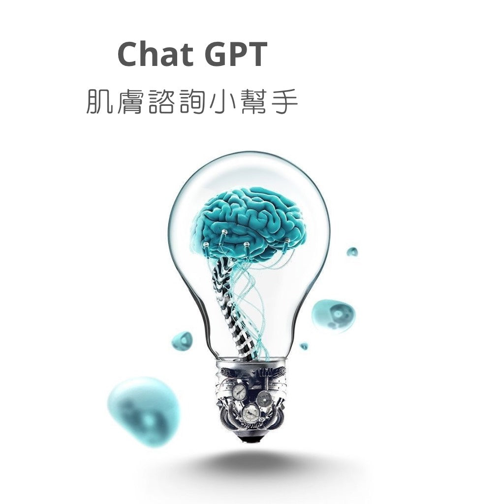 Chat GPT 使用指南